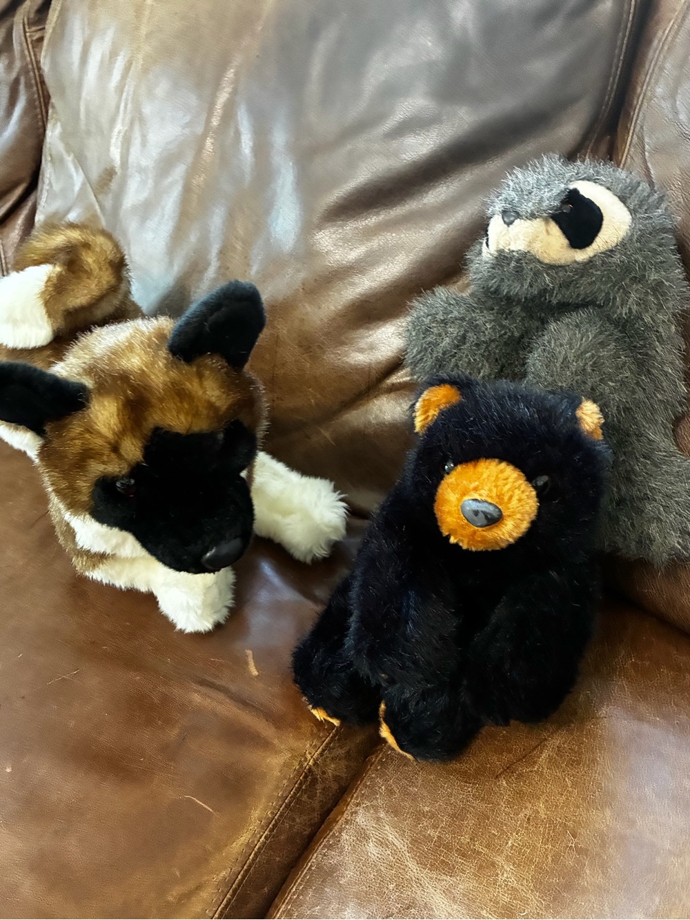 Set of 3 Stuffed Animal / Puppet - Dog/Bear/Raccoon